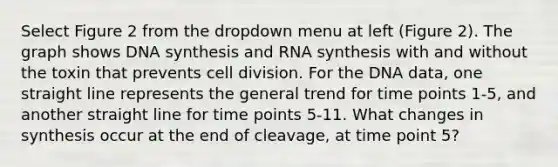 Select Figure 2 from the dropdown menu at left (Figure 2). The graph shows DNA synthesis and RNA synthesis with and without the toxin that prevents cell division. For the DNA data, one straight line represents the general trend for time points 1-5, and another straight line for time points 5-11. What changes in synthesis occur at the end of cleavage, at time point 5?