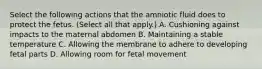 Select the following actions that the amniotic fluid does to protect the fetus. (Select all that apply.) A. Cushioning against impacts to the maternal abdomen B. Maintaining a stable temperature C. Allowing the membrane to adhere to developing fetal parts D. Allowing room for fetal movement