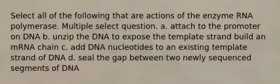 Select all of the following that are actions of the enzyme RNA polymerase. Multiple select question. a. attach to the promoter on DNA b. unzip the DNA to expose the template strand build an mRNA chain c. add DNA nucleotides to an existing template strand of DNA d. seal the gap between two newly sequenced segments of DNA