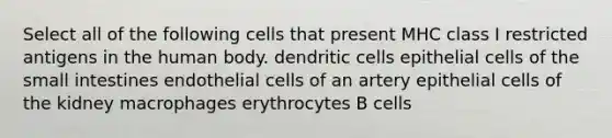 Select all of the following cells that present MHC class I restricted antigens in the human body. dendritic cells epithelial cells of the small intestines endothelial cells of an artery epithelial cells of the kidney macrophages erythrocytes B cells