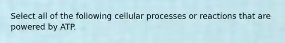 Select all of the following cellular processes or reactions that are powered by ATP.