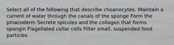 Select all of the following that describe choanocytes. Maintain a current of water through the canals of the sponge Form the pinacoderm Secrete spicules and the collagen that forms spongin Flagellated collar cells Filter small, suspended food particles