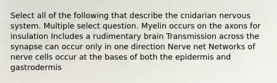 Select all of the following that describe the cnidarian nervous system. Multiple select question. Myelin occurs on the axons for insulation Includes a rudimentary brain Transmission across the synapse can occur only in one direction Nerve net Networks of nerve cells occur at the bases of both the epidermis and gastrodermis