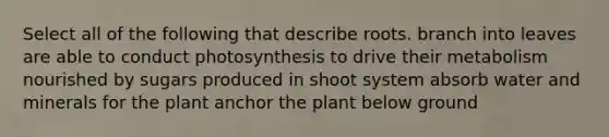 Select all of the following that describe roots. branch into leaves are able to conduct photosynthesis to drive their metabolism nourished by sugars produced in shoot system absorb water and minerals for the plant anchor the plant below ground