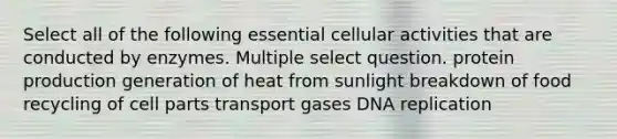 Select all of the following essential cellular activities that are conducted by enzymes. Multiple select question. protein production generation of heat from sunlight breakdown of food recycling of cell parts transport gases <a href='https://www.questionai.com/knowledge/kofV2VQU2J-dna-replication' class='anchor-knowledge'>dna replication</a>