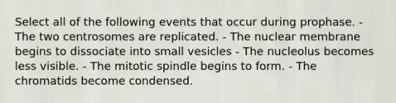 Select all of the following events that occur during prophase. - The two centrosomes are replicated. - The nuclear membrane begins to dissociate into small vesicles - The nucleolus becomes less visible. - The mitotic spindle begins to form. - The chromatids become condensed.