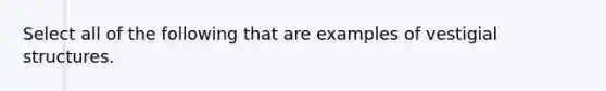 Select all of the following that are examples of vestigial structures.