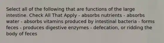 Select all of the following that are functions of the large intestine. Check All That Apply - absorbs nutrients - absorbs water - absorbs vitamins produced by intestinal bacteria - forms feces - produces <a href='https://www.questionai.com/knowledge/kK14poSlmL-digestive-enzymes' class='anchor-knowledge'>digestive enzymes</a> - defecation, or ridding the body of feces