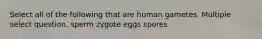 Select all of the following that are human gametes. Multiple select question. sperm zygote eggs spores