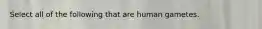 Select all of the following that are human gametes.