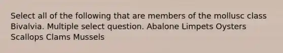 Select all of the following that are members of the mollusc class Bivalvia. Multiple select question. Abalone Limpets Oysters Scallops Clams Mussels