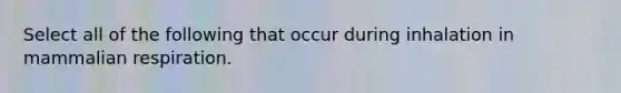Select all of the following that occur during inhalation in mammalian respiration.