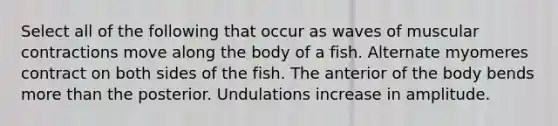 Select all of the following that occur as waves of muscular contractions move along the body of a fish. Alternate myomeres contract on both sides of the fish. The anterior of the body bends <a href='https://www.questionai.com/knowledge/keWHlEPx42-more-than' class='anchor-knowledge'>more than</a> the posterior. Undulations increase in amplitude.