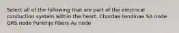 Select all of the following that are part of the electrical conduction system within the heart. Chordae tendinae SA node QRS node Purkinje fibers Av node