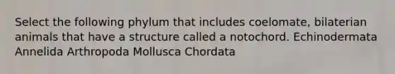 Select the following phylum that includes coelomate, bilaterian animals that have a structure called a notochord. Echinodermata Annelida Arthropoda Mollusca Chordata