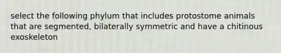 select the following phylum that includes protostome animals that are segmented, bilaterally symmetric and have a chitinous exoskeleton