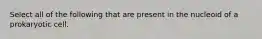 Select all of the following that are present in the nucleoid of a prokaryotic cell.