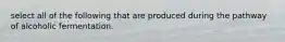 select all of the following that are produced during the pathway of alcoholic fermentation.