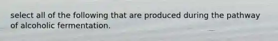 select all of the following that are produced during the pathway of alcoholic fermentation.