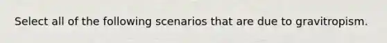 Select all of the following scenarios that are due to gravitropism.