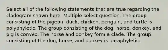 Select all of the following statements that are true regarding the cladogram shown here. Multiple select question. The group consisting of the pigeon, duck, chicken, penguin, and turtle is polyphyletic. The group consisting of the dog, horse, donkey, and pig is convex. The horse and donkey form a clade. The group consisting of the dog, horse, and donkey is paraphyletic.