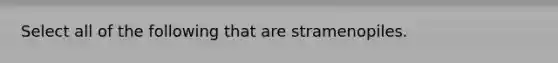 Select all of the following that are stramenopiles.