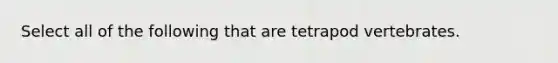 Select all of the following that are tetrapod vertebrates.