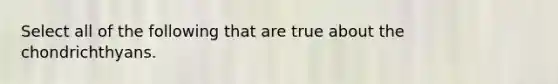 Select all of the following that are true about the chondrichthyans.