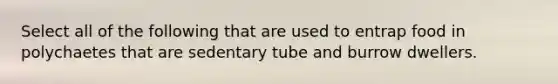 Select all of the following that are used to entrap food in polychaetes that are sedentary tube and burrow dwellers.