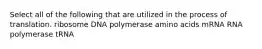 Select all of the following that are utilized in the process of translation. ribosome DNA polymerase amino acids mRNA RNA polymerase tRNA