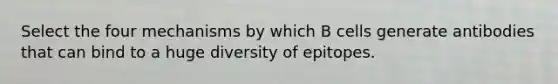 Select the four mechanisms by which B cells generate antibodies that can bind to a huge diversity of epitopes.