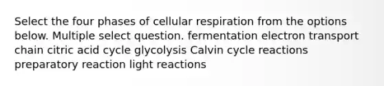 Select the four phases of <a href='https://www.questionai.com/knowledge/k1IqNYBAJw-cellular-respiration' class='anchor-knowledge'>cellular respiration</a> from the options below. Multiple select question. fermentation electron transport chain citric acid cycle glycolysis Calvin cycle reactions preparatory reaction <a href='https://www.questionai.com/knowledge/kSUoWrrvoC-light-reactions' class='anchor-knowledge'>light reactions</a>