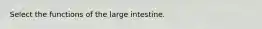 Select the functions of the large intestine.