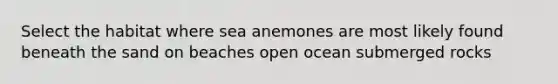 Select the habitat where sea anemones are most likely found beneath the sand on beaches open ocean submerged rocks
