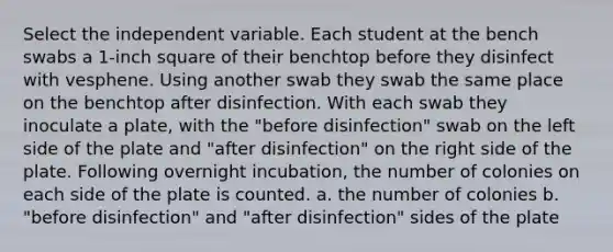 Select the independent variable. Each student at the bench swabs a 1-inch square of their benchtop before they disinfect with vesphene. Using another swab they swab the same place on the benchtop after disinfection. With each swab they inoculate a plate, with the "before disinfection" swab on the left side of the plate and "after disinfection" on the right side of the plate. Following overnight incubation, the number of colonies on each side of the plate is counted. a. the number of colonies b. "before disinfection" and "after disinfection" sides of the plate