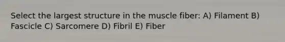 Select the largest structure in the muscle fiber: A) Filament B) Fascicle C) Sarcomere D) Fibril E) Fiber