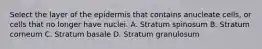 Select the layer of the epidermis that contains anucleate cells, or cells that no longer have nuclei. A. Stratum spinosum B. Stratum corneum C. Stratum basale D. Stratum granulosum