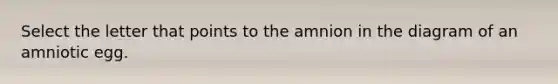 Select the letter that points to the amnion in the diagram of an amniotic egg.