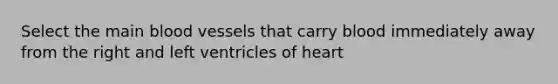 Select the main blood vessels that carry blood immediately away from the right and left ventricles of heart