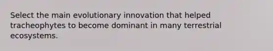 Select the main evolutionary innovation that helped tracheophytes to become dominant in many terrestrial ecosystems.