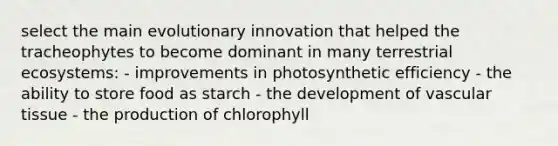 select the main evolutionary innovation that helped the tracheophytes to become dominant in many terrestrial ecosystems: - improvements in photosynthetic efficiency - the ability to store food as starch - the development of <a href='https://www.questionai.com/knowledge/k1HVFq17mo-vascular-tissue' class='anchor-knowledge'>vascular tissue</a> - the production of chlorophyll