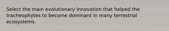 Select the main evolutionary innovation that helped the tracheophytes to become dominant in many terrestrial ecosystems.