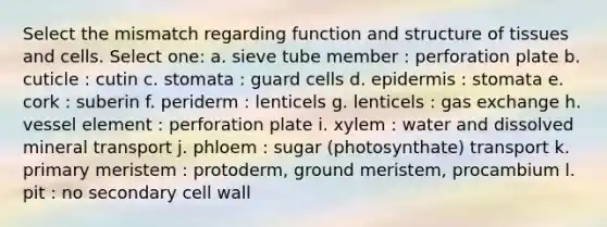 Select the mismatch regarding function and structure of tissues and cells. Select one: a. sieve tube member : perforation plate b. cuticle : cutin c. stomata : guard cells d. epidermis : stomata e. cork : suberin f. periderm : lenticels g. lenticels : gas exchange h. vessel element : perforation plate i. xylem : water and dissolved mineral transport j. phloem : sugar (photosynthate) transport k. primary meristem : protoderm, ground meristem, procambium l. pit : no secondary cell wall