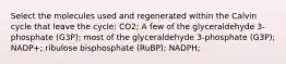 Select the molecules used and regenerated within the Calvin cycle that leave the cycle: CO2; A few of the glyceraldehyde 3-phosphate (G3P); most of the glyceraldehyde 3-phosphate (G3P); NADP+; ribulose bisphosphate (RuBP); NADPH;