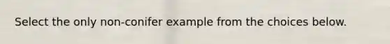 Select the only non-conifer example from the choices below.