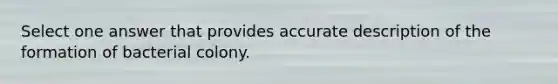 Select one answer that provides accurate description of the formation of bacterial colony.