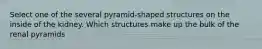 Select one of the several pyramid-shaped structures on the inside of the kidney. Which structures make up the bulk of the renal pyramids