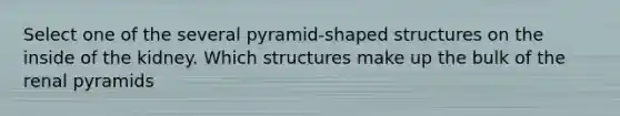 Select one of the several pyramid-shaped structures on the inside of the kidney. Which structures make up the bulk of the renal pyramids