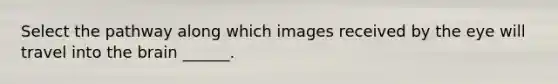 Select the pathway along which images received by the eye will travel into the brain ______.