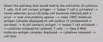 Select the pathway that would lead to the activation of cytotoxic T cells. A) B cell contact antigen --> helper T cell is activated --> clonal selection occurs B) body cell becomes infected with a virus --> new viral proteins appear --> class I MHC molecule-antigen complex displayed on cell surface C) complement is secreted --> B cell contacts antigen --> helper T cell activated --> cytokines released D) cytotoxic T cells --> class II MHC molecule-antigen complex displayed --> cytokines released --> cell lysis